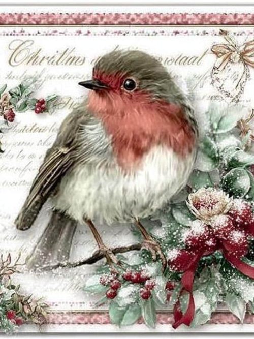 winter robin, berry song, christmas bird, holly berries, festive bird, snowy branch, holiday robin, red breast, seasonal decor